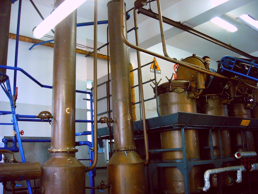 De Negri公式の蒸留設備写真/De Negri官方蒸餾設備照片/Distillation equipment at De Negri, official photograph