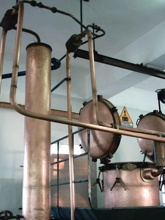 De Negri公式の蒸留設備写真/De Negri官方蒸餾設備照片/Distillation equipment at De Negri, official photograph