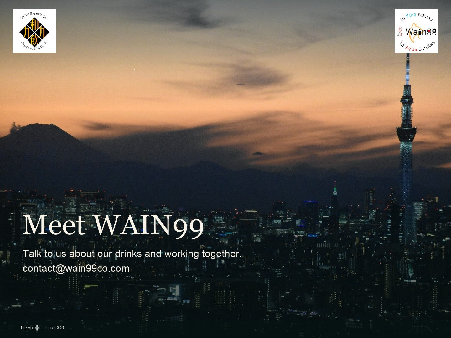 Meet WAIN99