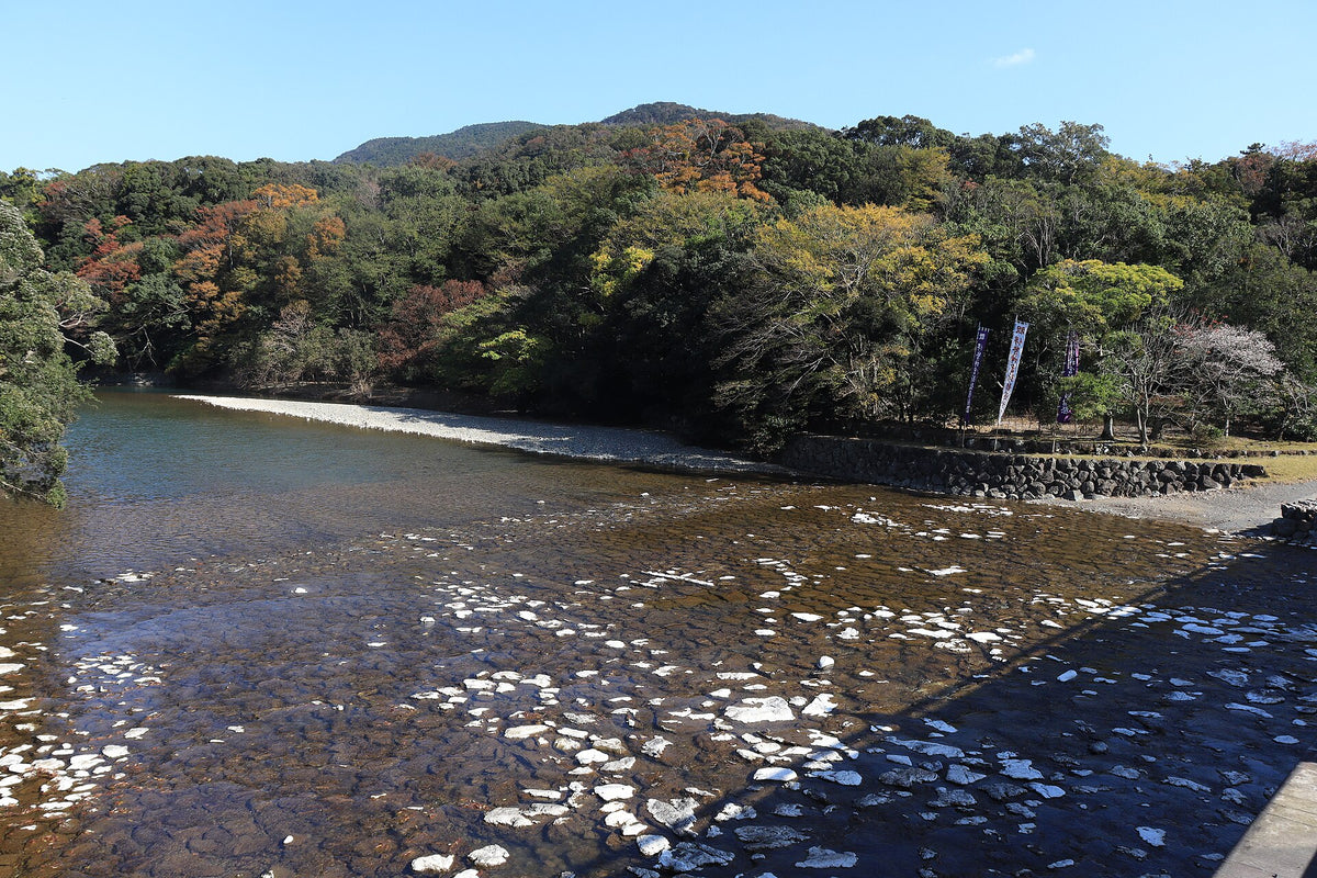 釀造用水的源頭：五十鈴川