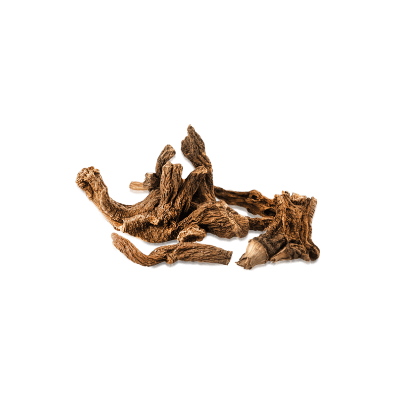 Raíces de genciana