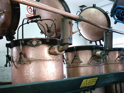 De Negri公式の蒸留設備写真／De Negri官方蒸餾設備照片／Distillation equipment at De Negri, official photograph