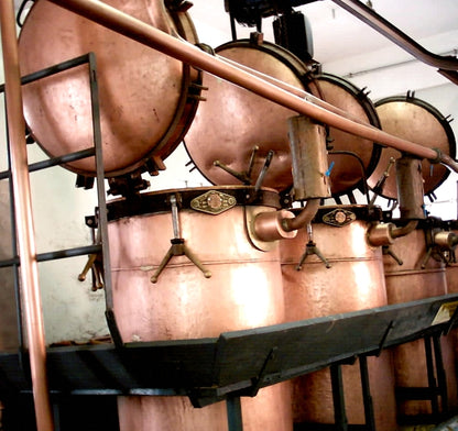 De Negri公式の蒸留設備写真／De Negri官方蒸餾設備照片／Distillation equipment at De Negri, official photograph