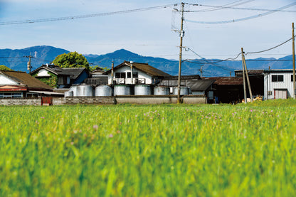 堤酒造公式の蔵元風景／堤酒造官方酒廠照片／Tsutsumi Shuzo brewery, official photograph