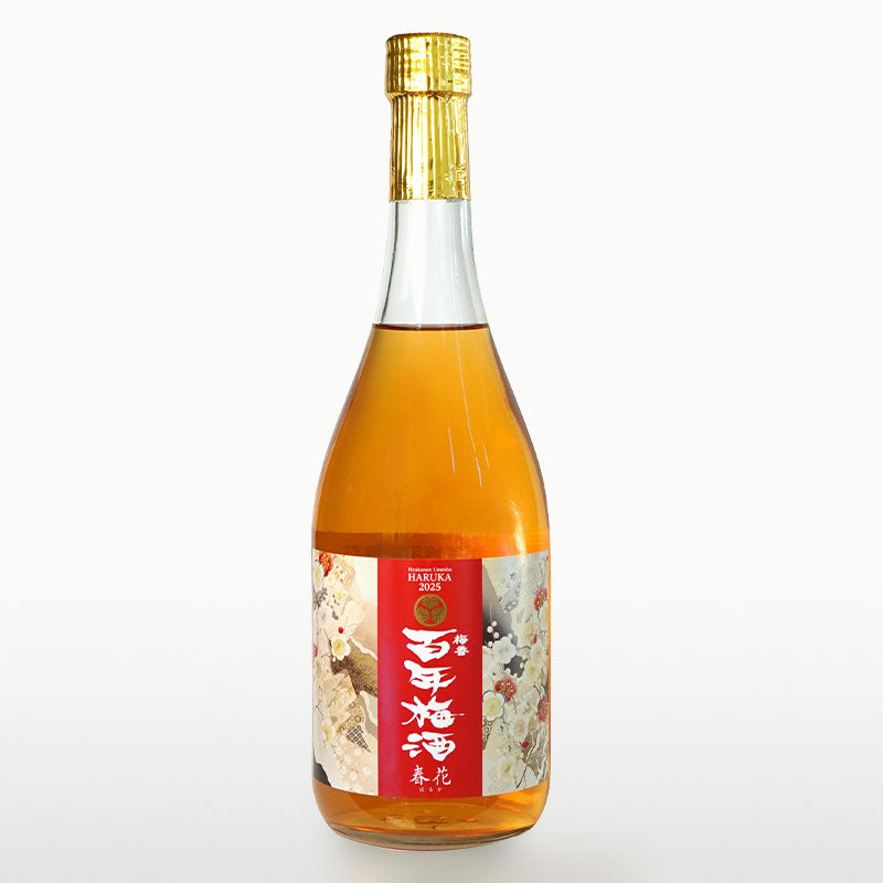 百年梅酒 春花 2025