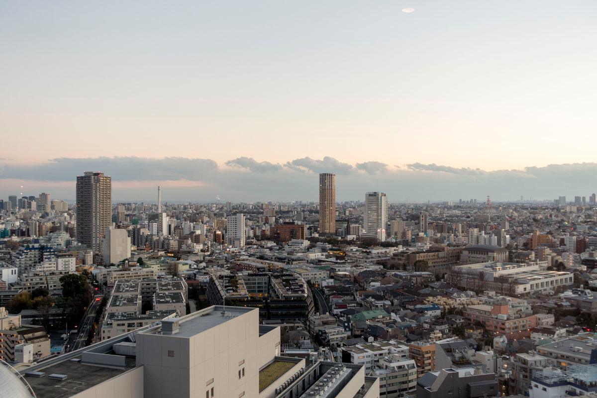 東京の夕景 — 2015